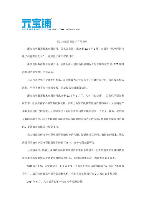 浙江电融数据技术有限公司