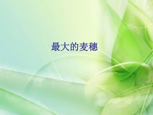 新苏教版六年级语文下册六年级下语文课件-最大的麦穗公开课课件课件