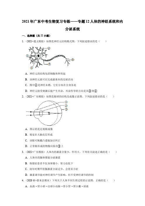 2021年广东省中考生物复习专练——专题12人体的神经系统和内分泌系统   解析版