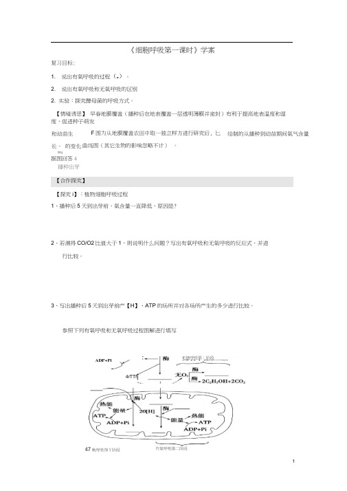 高三生物一轮复习细胞呼吸(第一课时)学案