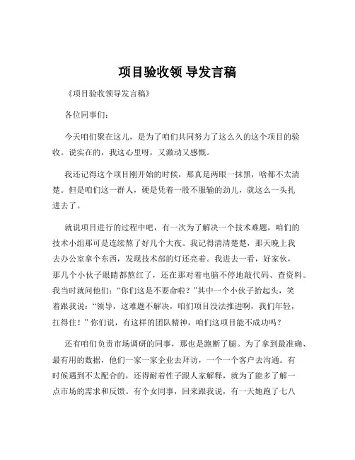 项目验收领 导发言稿