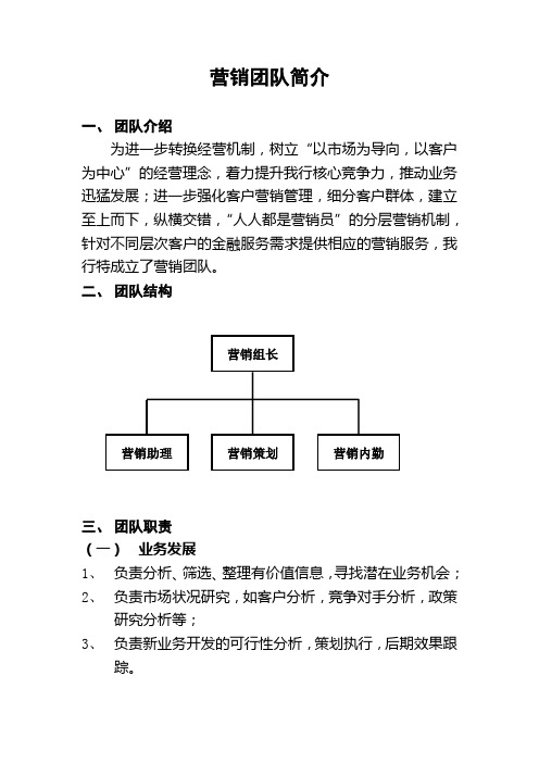 (完整版)营销团队简介