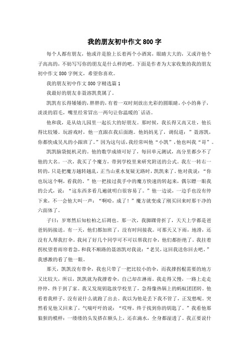 我的朋友初中作文800字