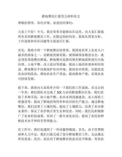 耕地整治汇报发言材料范文