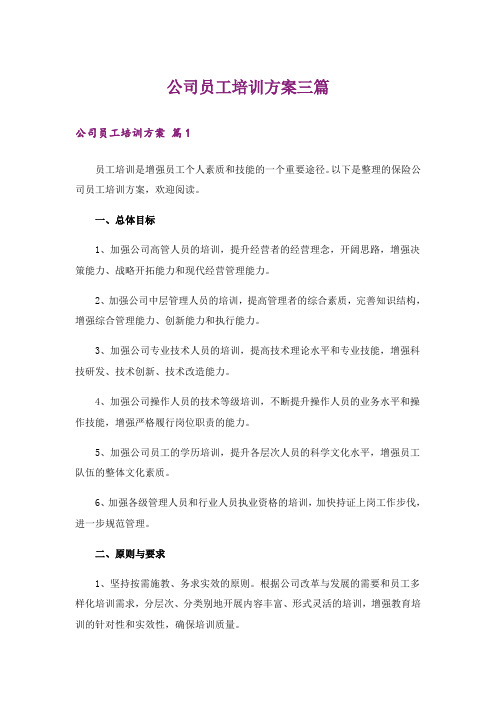 公司员工培训方案三篇