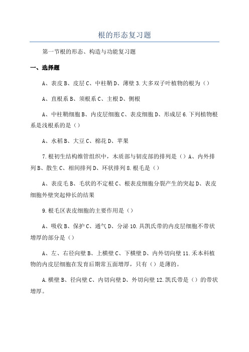 根的形态复习题