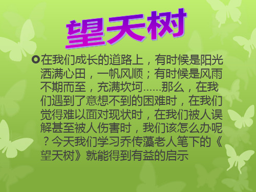 第5课《望天树》