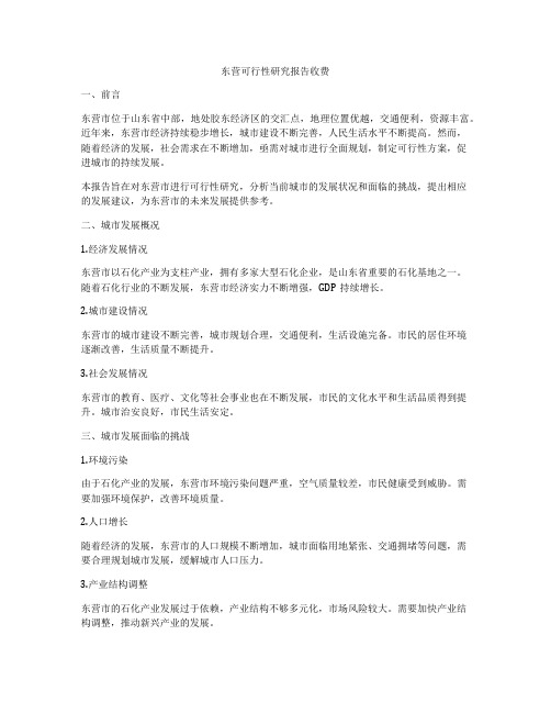 东营可行性研究报告收费