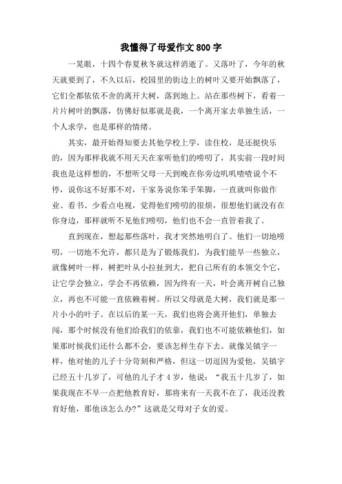 我懂得了母爱作文800字