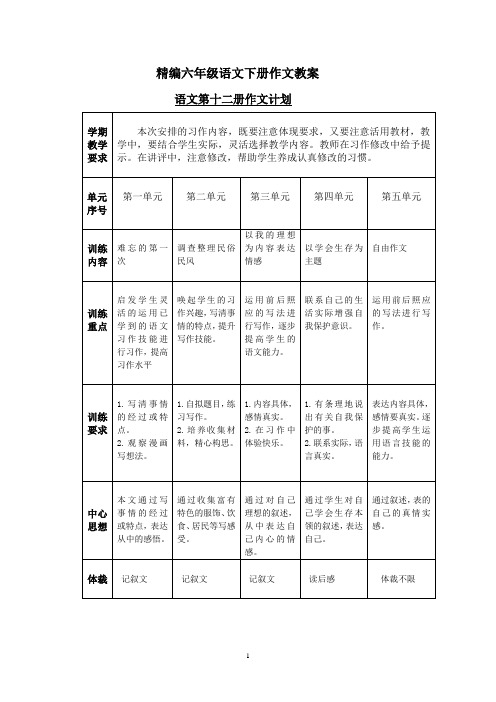 精编六年级语文下册作文教案