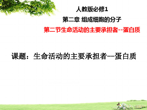 人教版高中生物必修一第二章第二节生命活动的主要承担者--蛋白质(共20页)