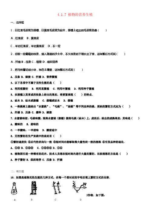 八年级生物上册4_1_7植物的营养生殖同步练习卷含解析新版济南版