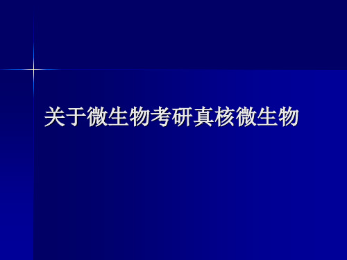 关于微生物考研真核微生物课件