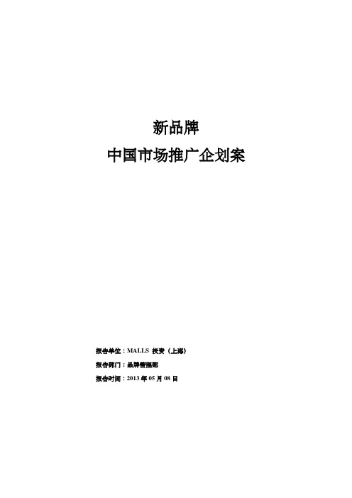 新品牌中国市场推广企划方案