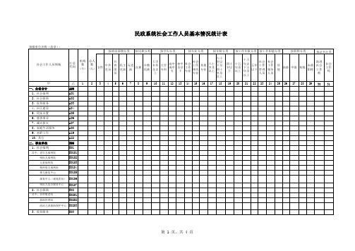 社会工作人员基本情况统计表