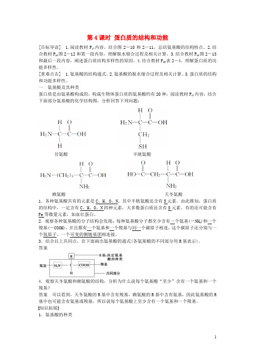 高中生物 第二章 第4课时 蛋白质的结构和功能课时作业