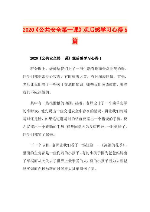 《公共安全第一课》观后感学习心得5篇