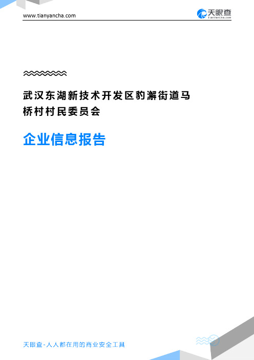 武汉东湖新技术开发区豹澥街道马桥村村民委员会企业信息报告-天眼查