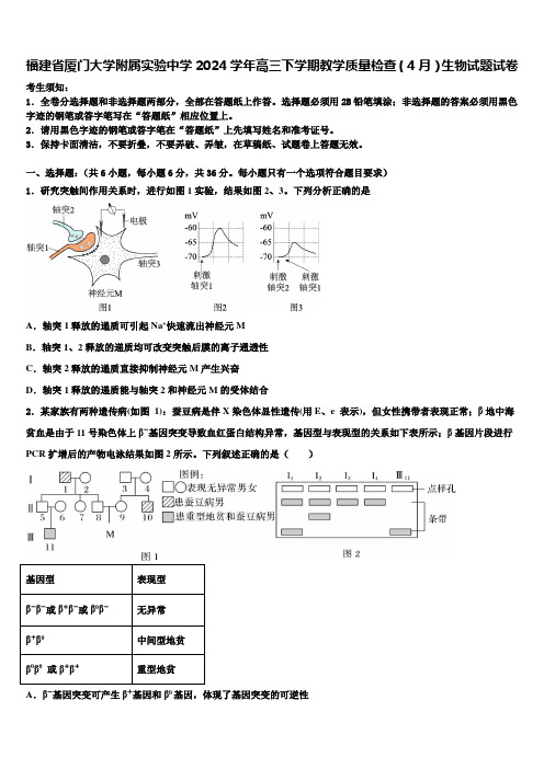 福建省厦门大学附属实验中学2024学年高三下学期教学质量检查(4月)生物试题试卷含解析