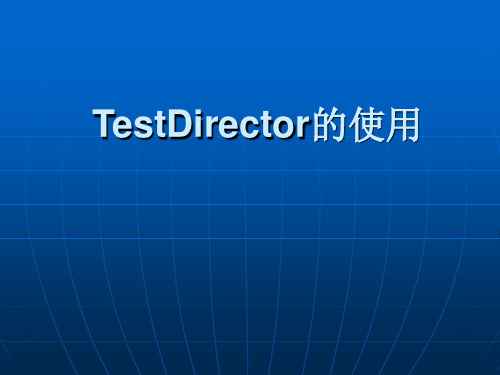 TestDirector的使用