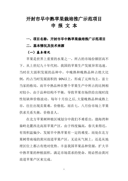 申报文本