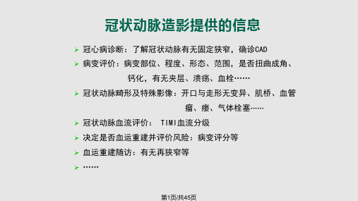 冠脉不同类型病变的判读PPT课件