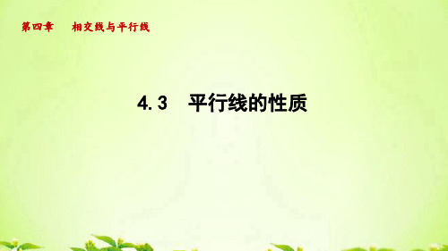 湘教版七年级数学下册_4.3 平行线的性质