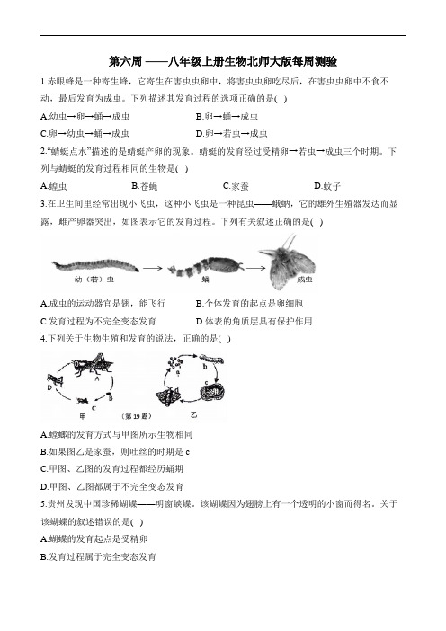 第六周——八年级上册生物北师大版每周测验 考查范围：6.19.2-6.19.3(含解析)