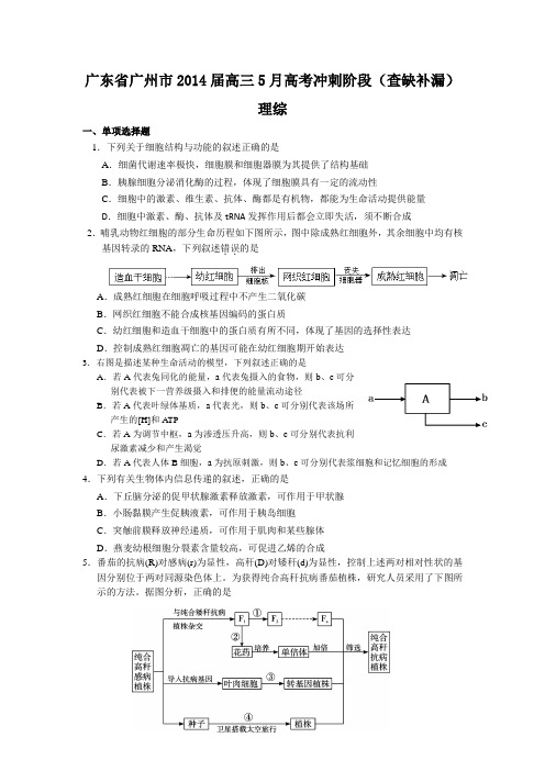 广东省广州市2014届高三冲刺查漏补缺 理综生物 Word版含答案