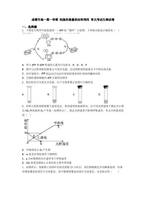 成都市高一第一学期 细胞的能量供应和利用 单元考试生物试卷