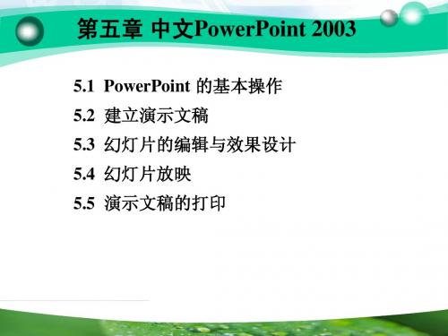 PowerPoint2003