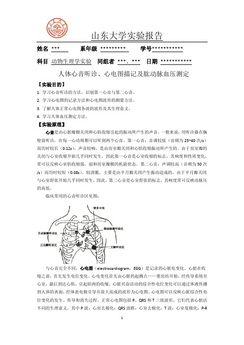 人体心音听诊、心电图描记及肱动脉血压测定