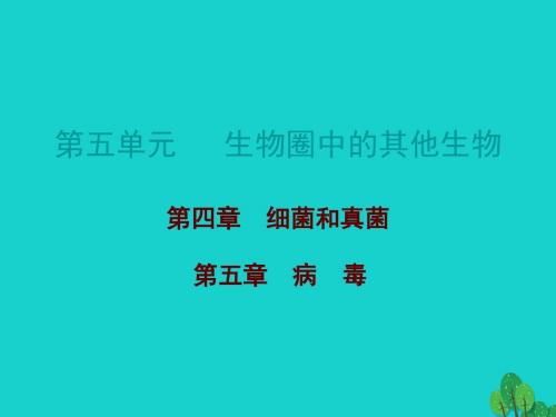 中考生物总复习第五单元第四、五章课件