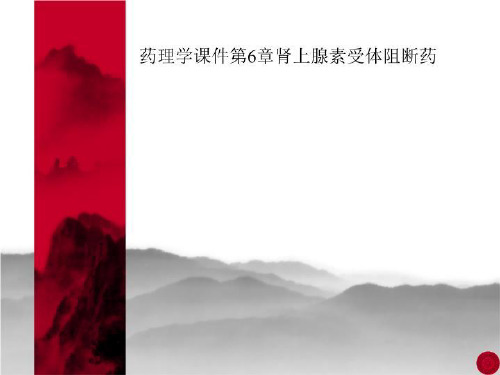 药理学课件第6章肾上腺素受体阻断药
