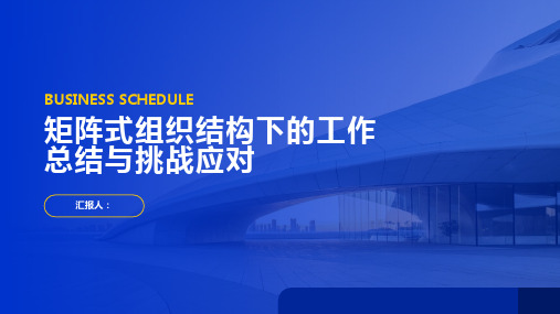 矩阵式组织结构下的工作总结与挑战应对