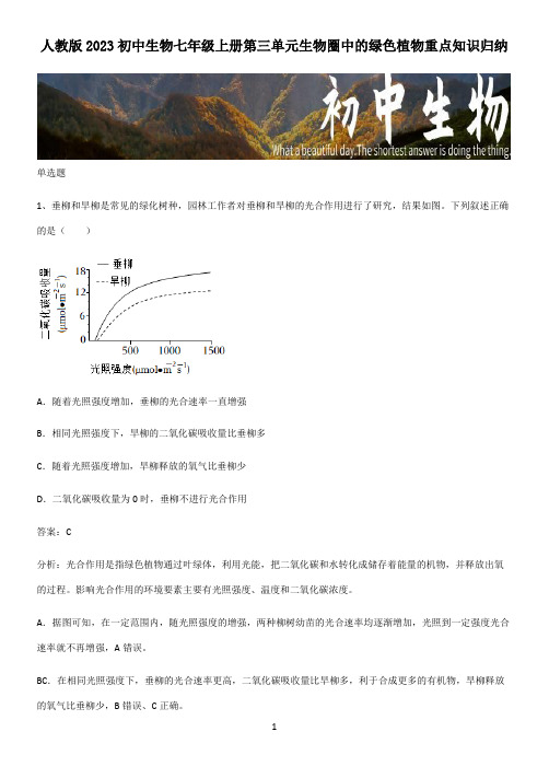 人教版2023初中生物七年级上册第三单元生物圈中的绿色植物重点知识归纳