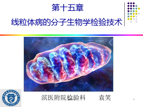 肿瘤的分子生物学检验技术  ppt课件