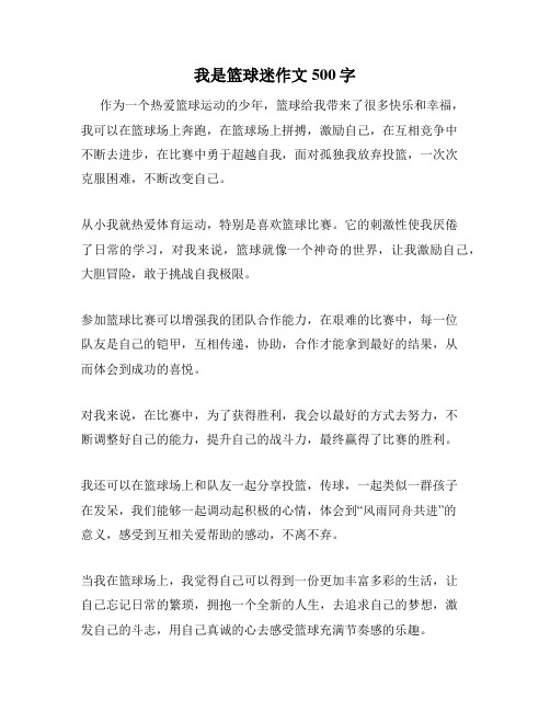 我是篮球迷作文500字