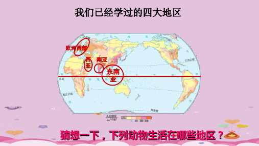 粤人地理七年级下册第11章 极地地区(共24张PPT)优质课件