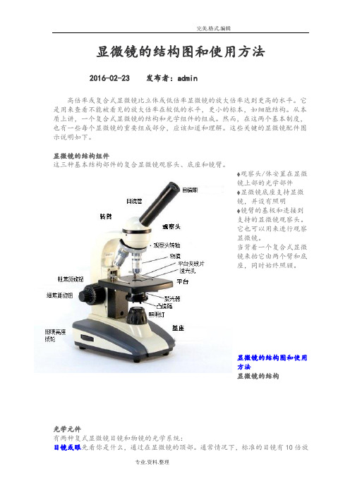 显微镜结构及使用方法