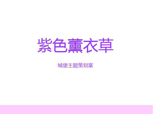 主题婚礼【紫色薰衣草】策划案 PPT