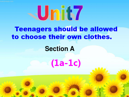 九年级英语全一册Unit7Teenagers_should_be_allowed_to_choose_their_own_chothes_SectionA_(1a-1c)人教版