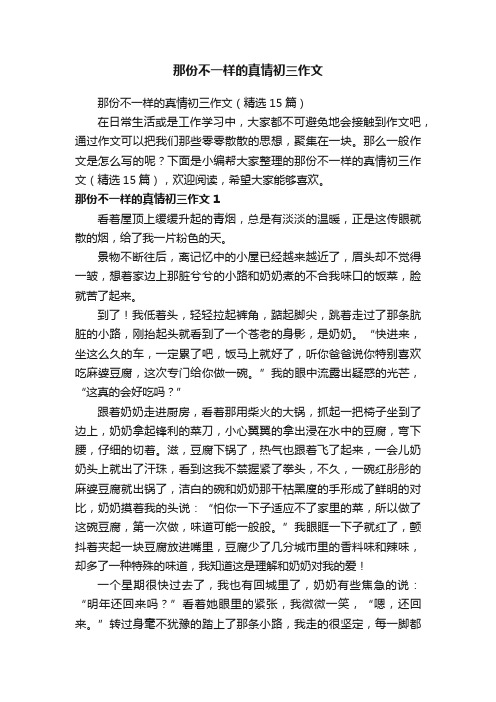 那份不一样的真情初三作文