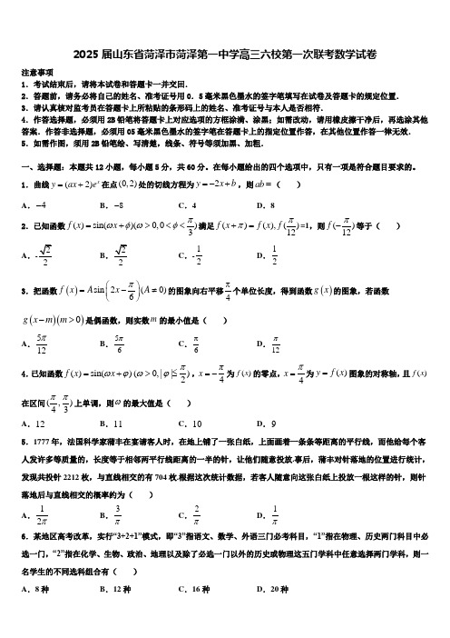 2025届山东省菏泽市菏泽第一中学高三六校第一次联考数学试卷含解析