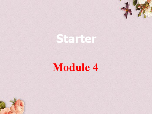 内蒙古鄂尔多斯市康巴什新区第二中学七年级英语上册 Starter Module 4 My everyday life课件 (新版)外研