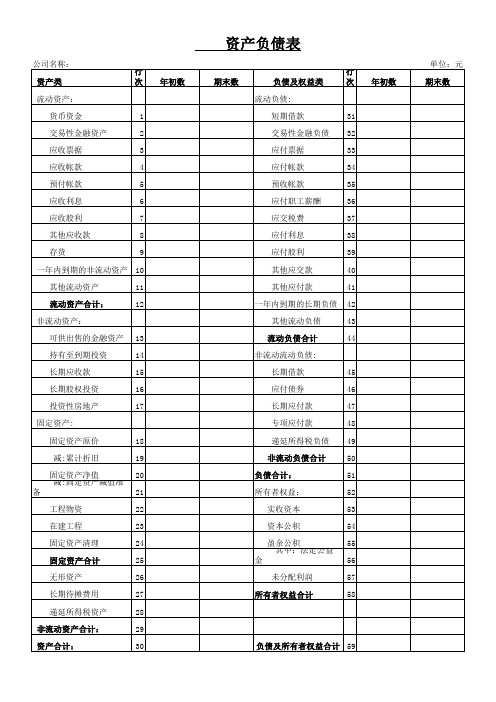 2013年最新资产负债表(1)