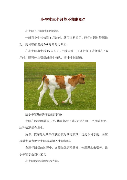 小牛犊三个月能不能断奶？