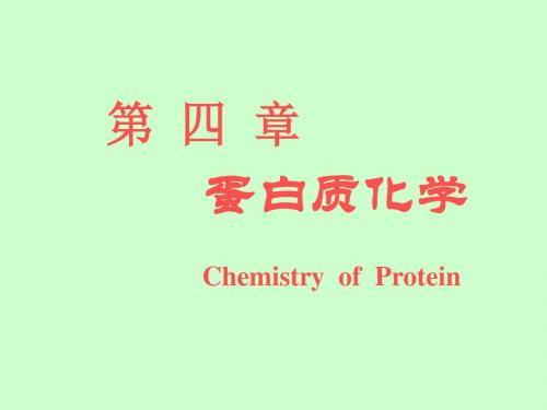 4第四章蛋白质化学1-4共126页