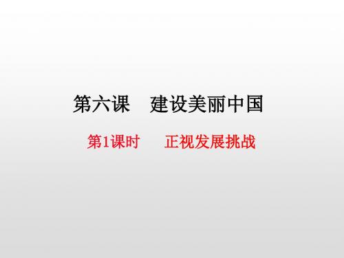 部编版九年级道德与法治上册第六课建设美丽中国PPT