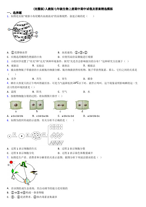 (完整版)人教版七年级生物上册期中期中试卷及答案精选模拟